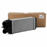 Citroen C3 A51 Intercooler Radyatörü Orjinal